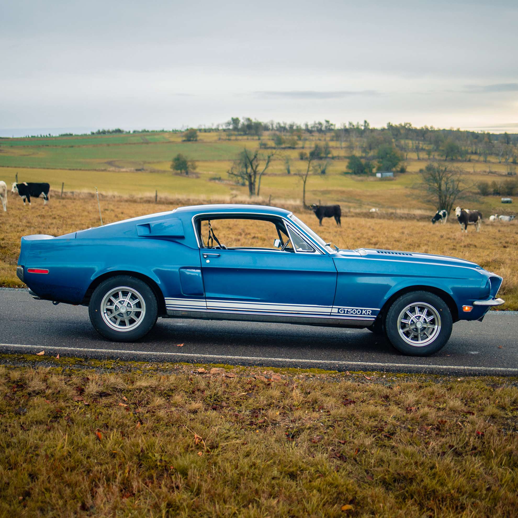 Shelby GT 500 KR 1968